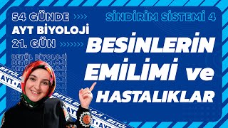 21 Besinlerin Emilimi ve Hastalıklar  Sindirim Sistemi  11 Sınıf  AYT Biyoloji Kampı 21 Gün [upl. by Annaxor]