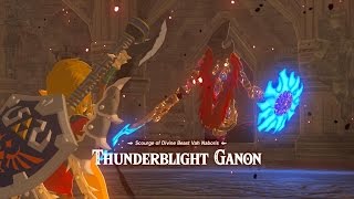 Zelda Breath Of The Wild Hyrule Castle Blight Ganons and Calamity Ganon Three Hearts [upl. by Ardnuahsal]