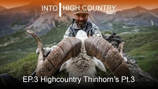 Highcountry Thinhorns Part 3 [upl. by Candy599]