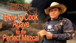 How to Cook Agave for the Perfect Mezcal  Masterclass from Silverio García Master Mezcalero [upl. by Lisabeth251]