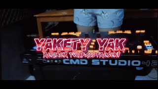 YAKETY YAK remix FYP TIKTOK 2022 official music video [upl. by Hendel]