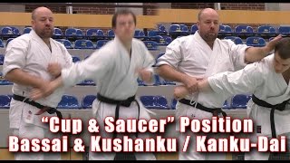 Practical Kata Bunkai quotCup and Saucerquot position from Bassai and Kushanku  KankuDai [upl. by Darnell]