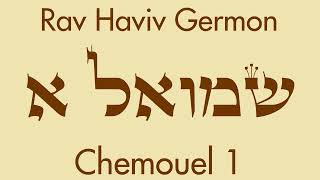 Rav Haviv Germon  Chemouel 1 13 David et Goliath [upl. by Telfore]