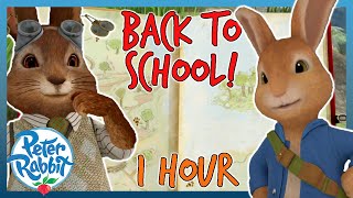 OfficialPeterRabbit  ✏️📚 Back to School Compilation 📚✏️  1 HOUR  Cartoons for Kids [upl. by Esyahc]