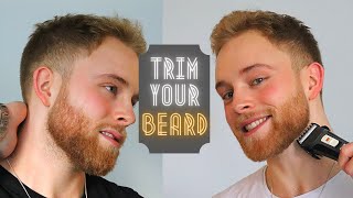 How To Clean amp Oil The Brio Beardscape Beard amp Body Trimmer V2 [upl. by Oswell]