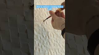 How to remove a rawl plug from a wall easy DIY shorts [upl. by Richella67]