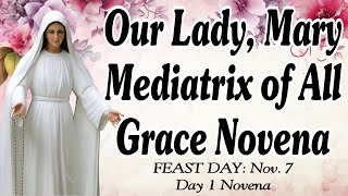 Our Lady Mary Mediatrix of All Grace Novena  Day 1 [upl. by Roxanne]