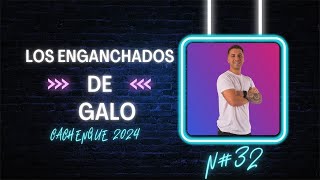 LOS ENGANCHADOS DE GALO 32 CACHENGUE 2024 [upl. by Naujak]