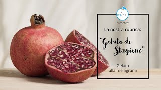 Rubrica quotGelato di Stagionequot Gelato alla Melagrana [upl. by Nevag]