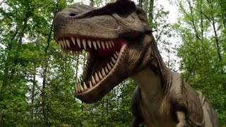 Dinosaurs Alive Walkthrough Kings Dominion [upl. by Mandelbaum650]