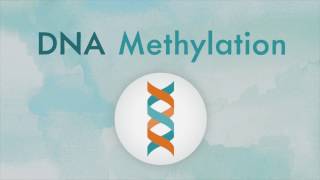 How DNA methylation works [upl. by Enovaj572]