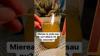 Mierea 🐝 arde sau nu Află în 10 secunde miere calitateamierii testmiere testuldefoc [upl. by Nnairac419]