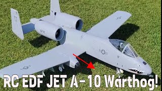 A10 Warthog Discover the Power of Freewing A10 Twin 80mm RC Jet [upl. by Barnett]