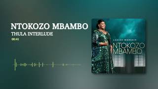 Ntokozo Mbambo  Thula Interlude Visualizer [upl. by Ellasal736]