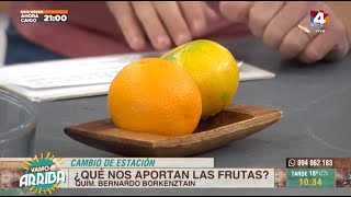 Química a la carta Vamo Arriba  ¿Qué nos aportan las frutas [upl. by Ilahsiav77]