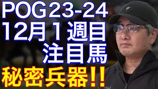 【POG2324】12月１週目デビューの注目新馬を紹介【堀厩舎の秘密兵器！インクルージョンが登場！！】 [upl. by Vidda]