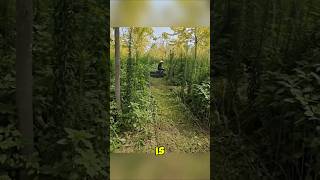 Remote Control Lawn Rover [upl. by Seumas]