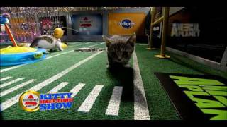 Puppy Bowl VI Kitty Halftime Show [upl. by Aicilaf]