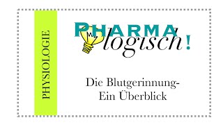 Die Blutgerinnung  ein Überblick [upl. by Demahum]