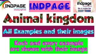 Animal kingdom neet Animal kingdom all examples with their images All Examples of Animal kingdom [upl. by Trillbee198]