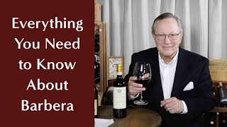 Everything You Need to Know About Barbera  An Italian Red Wine amp Hidden Treat [upl. by Evangelist729]