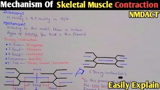 Mechanism Of Skeletal Muscle Contraction  NMDCAT 2023  Sliding Filament Model [upl. by Swanhilda]