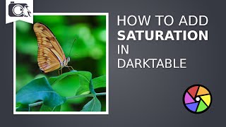 How to Add Saturation in Darktable  Darktable Tutorial 04 [upl. by Oiziruam]