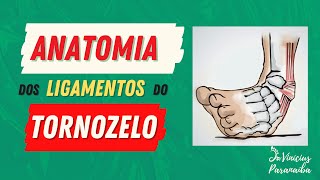 Anatomia dos Ligamentos do Tornozelo [upl. by Hallimaj]