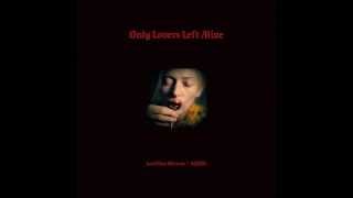 Only Lovers Left Alive OST  02 Funnel of Love Madeline Follin [upl. by Reichert]