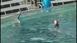 Sea World Shamu kills trainer VIDEO [upl. by Onfroi]