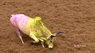 VIRALIMALAI JALLIKATTU  2019 [upl. by Hafler]