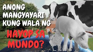 Anong Mangyayari Kung Wala Nang Mga Hayop sa Mundo [upl. by Dripps327]