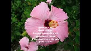 Amapola Juan Luis Guerra con letra [upl. by Eltsyrk673]