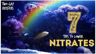 7 Tips to Lower Nitrates in a Reef Tank [upl. by Ycam]