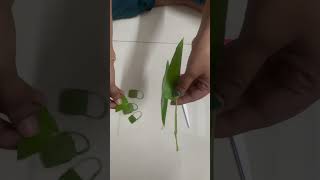 Mango leaf bag Mango leaf craft  DIY mangoleafdecoration diy craft [upl. by Worra645]