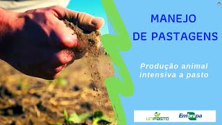 Produção animal intensiva a pasto  Manejo de pastagens  Série Pasto Certo [upl. by Oys]