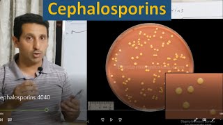 Antibiotics  4  Cephalosporins mechanism uses side effects [upl. by Laetitia]