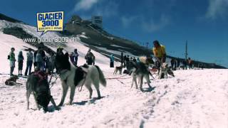 Dog Sled Ride Glacier 3000 [upl. by Nilyaj]