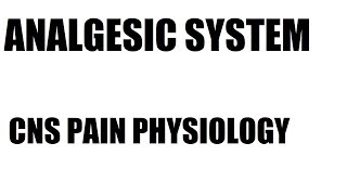 Analgesic system  Pathway  Physiology of Pain  CNS  Central nervous system [upl. by Evilc]