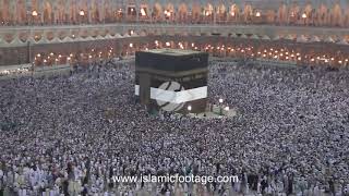 Muslim Pilgrims Circumambulate in the Kaaba Stock Video Footage [upl. by Alemak549]