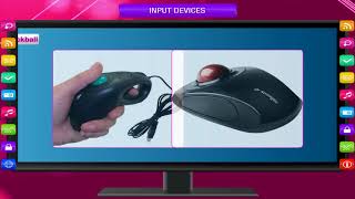 INPUT DEVICES class3 [upl. by Annaoj863]