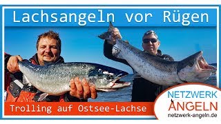 Lachsangeln vor Rügen Trolling auf Ostsee Lachs [upl. by Anasus983]