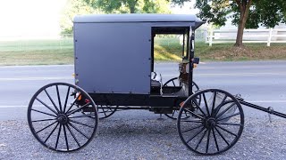 Amish Buggy Ride  Lebanon County PA [upl. by Aver355]