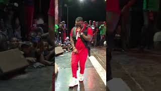 Harmonize mtaje performance serengeti music festival dodoma official video [upl. by Dorothee861]