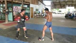 Treinamento Duro de Muay Thai [upl. by Madda]