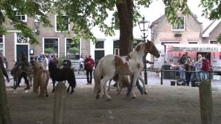 Paardenmarkt Heenvliet 2015 [upl. by Karlise]