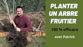 Comment Planter Un Arbre Fruitier  Guide Complet pour Réussir [upl. by Romain880]