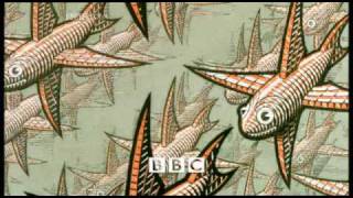 The Mathematical Art Of MC Escher [upl. by Aicenet]