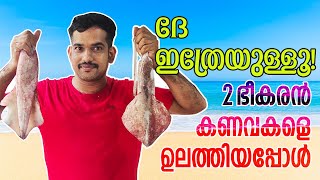 കണവകൂന്തൽ നാടൻ രീതിയിൽ ഉലത്തിയത്Squid Keral StyleKoonthalKanavaCuttingCleaning [upl. by Ettenad]