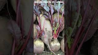 Maximize Beet Flavor and Color With This Storage Hack [upl. by Notniuqal]